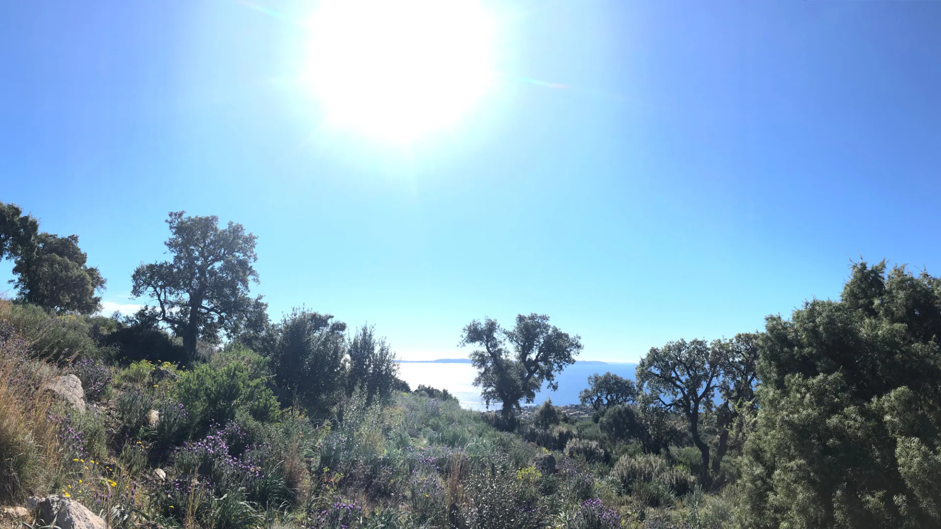 Le Lavandou hiking trail