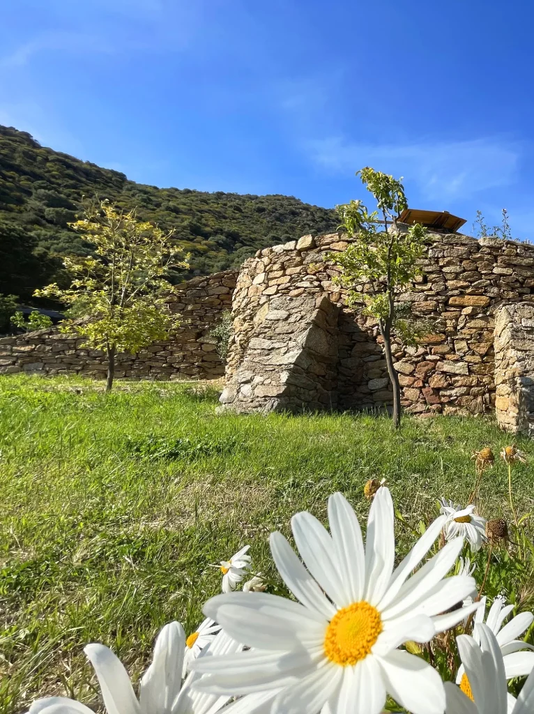 Heritage of the terraces of Saint-Clair Le Lavandou