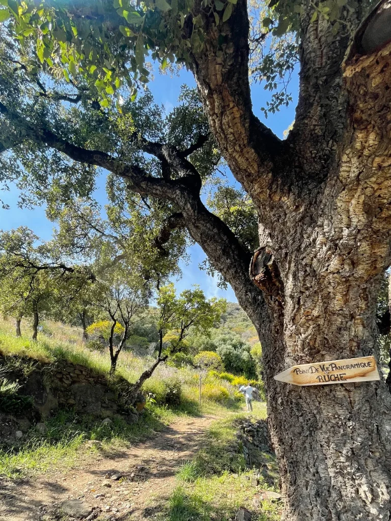 Patrimonio de las terrazas de Saint-Clair Le Lavandou