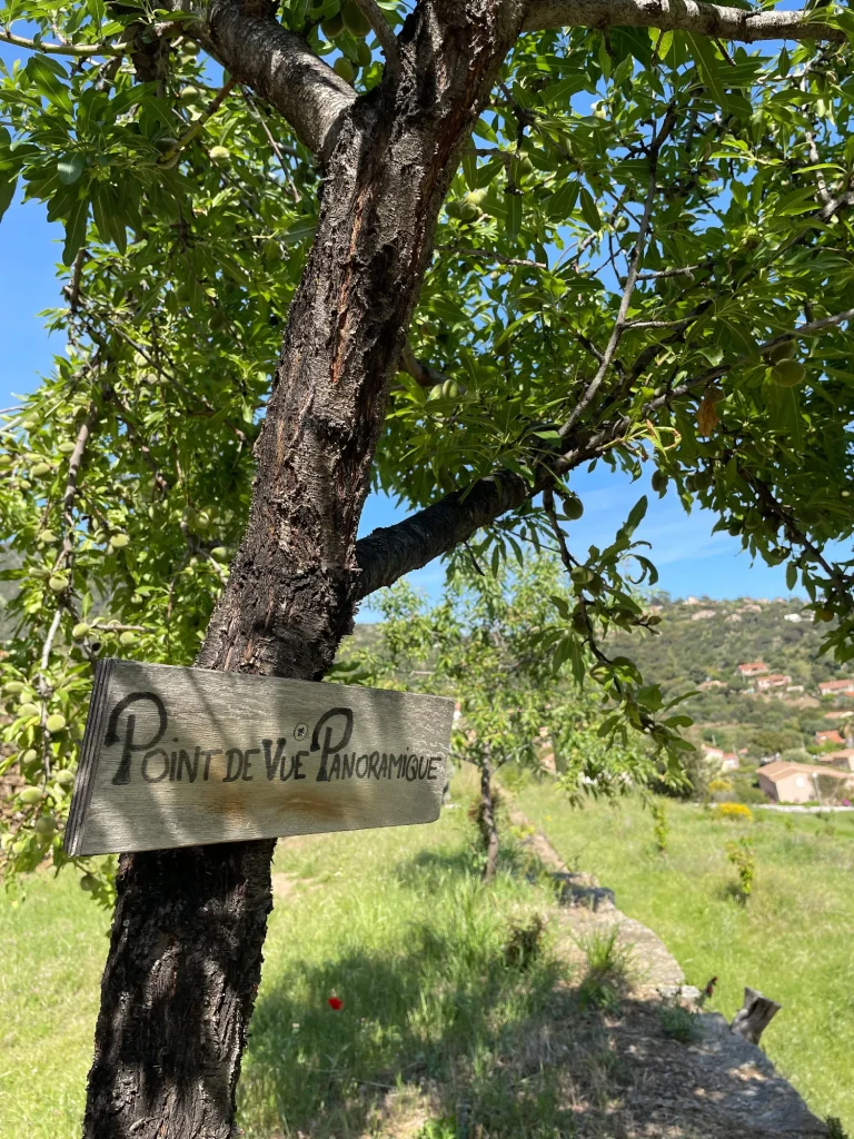 Patrimonio delle terrazze di Saint-Clair Le Lavandou