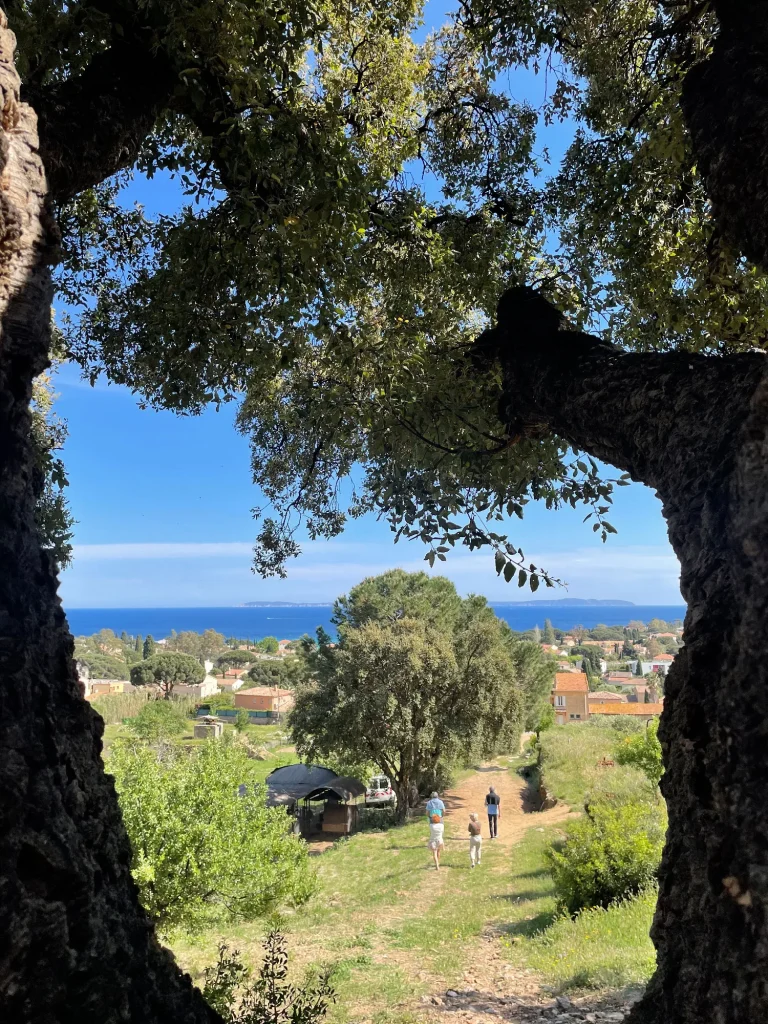 Erfgoed van de terrassen van Saint-Clair Le Lavandou