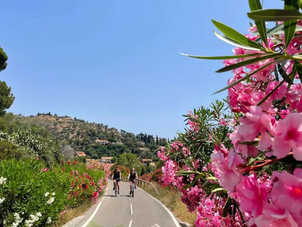 In bicicletta Pista ciclabile del Lavandou