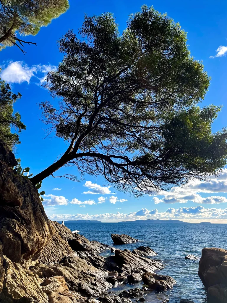 Walk and hike on the coastal path in Lavandou