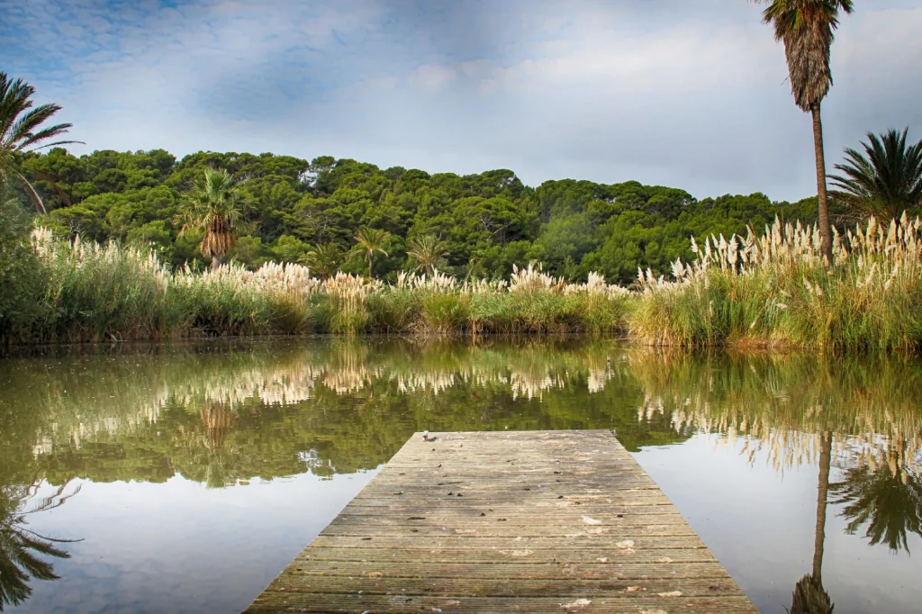 Wijndomein Le Domaine de l’Anglade Le Lavandou