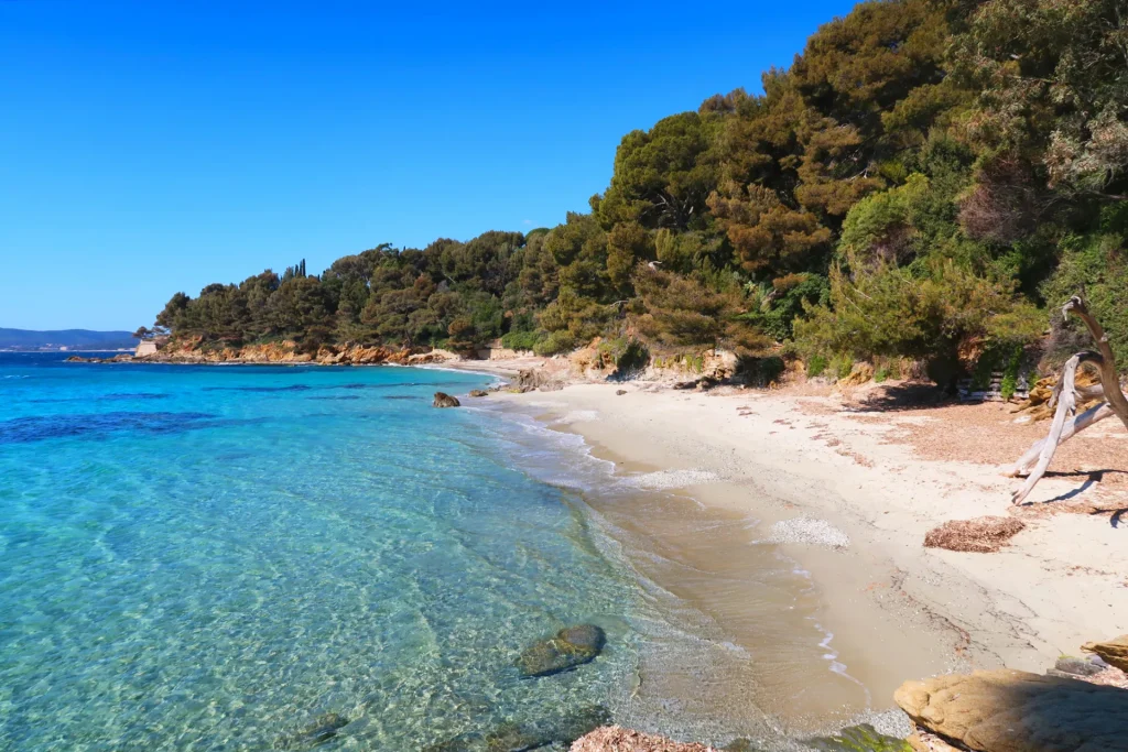 La spiaggia degli elefanti a Lavandou