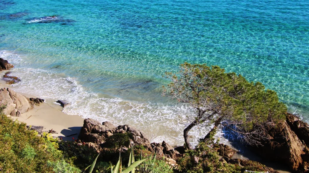 Plage Aiguebelle Le Lavandou