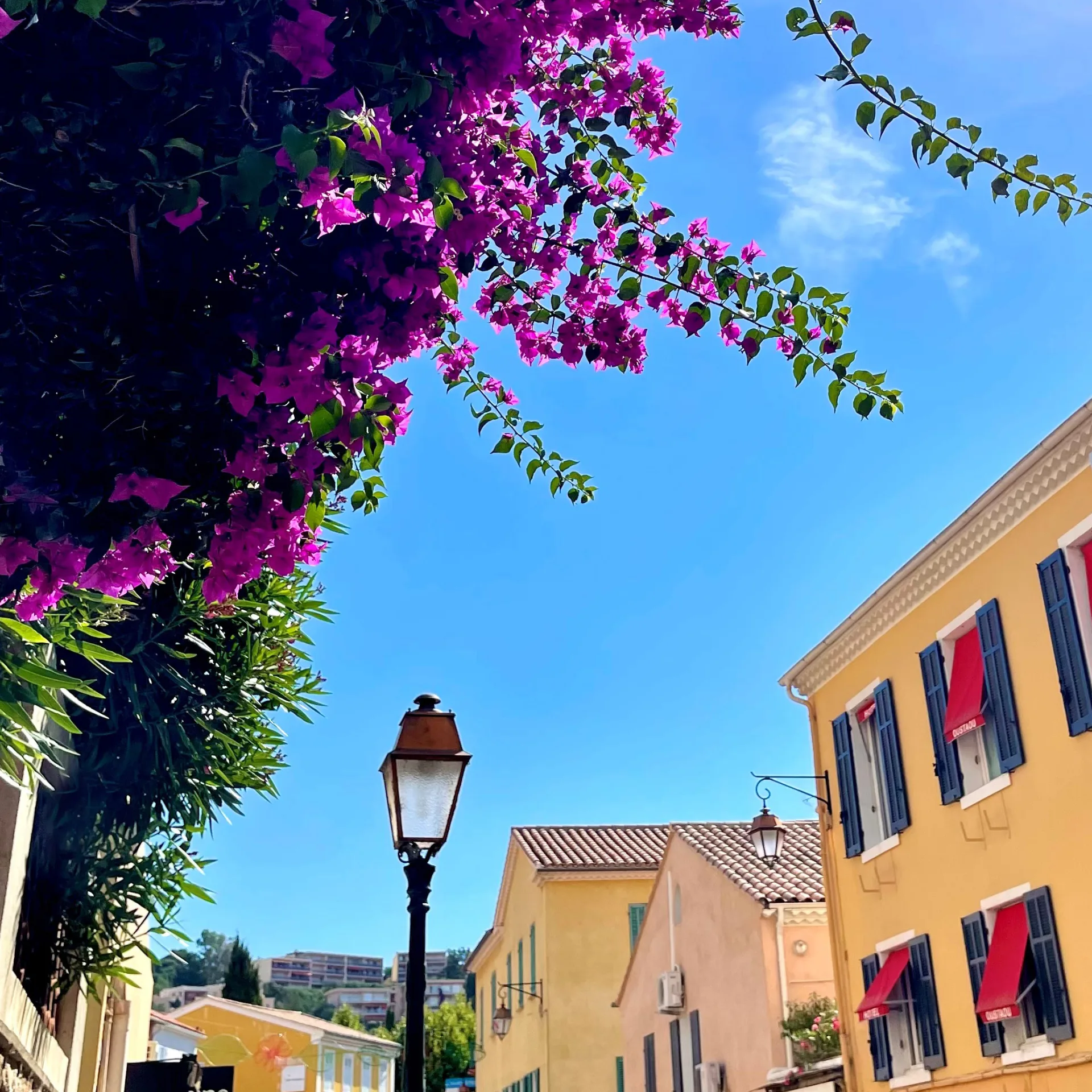 Apartment-Vermietung in Le Lavandou