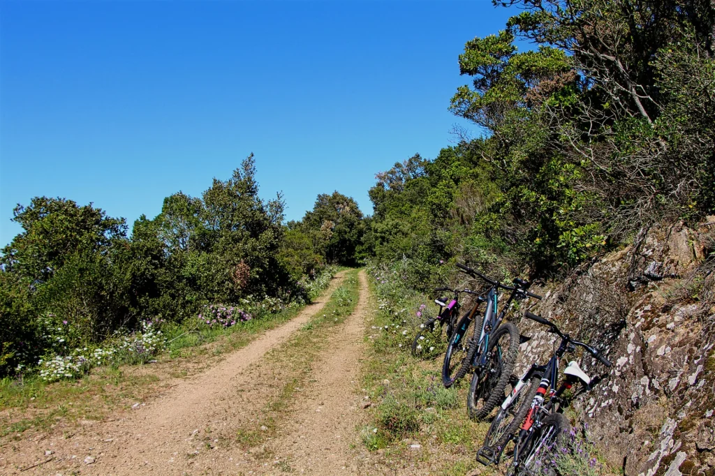 Famiglia in bicicletta Le Lavandou