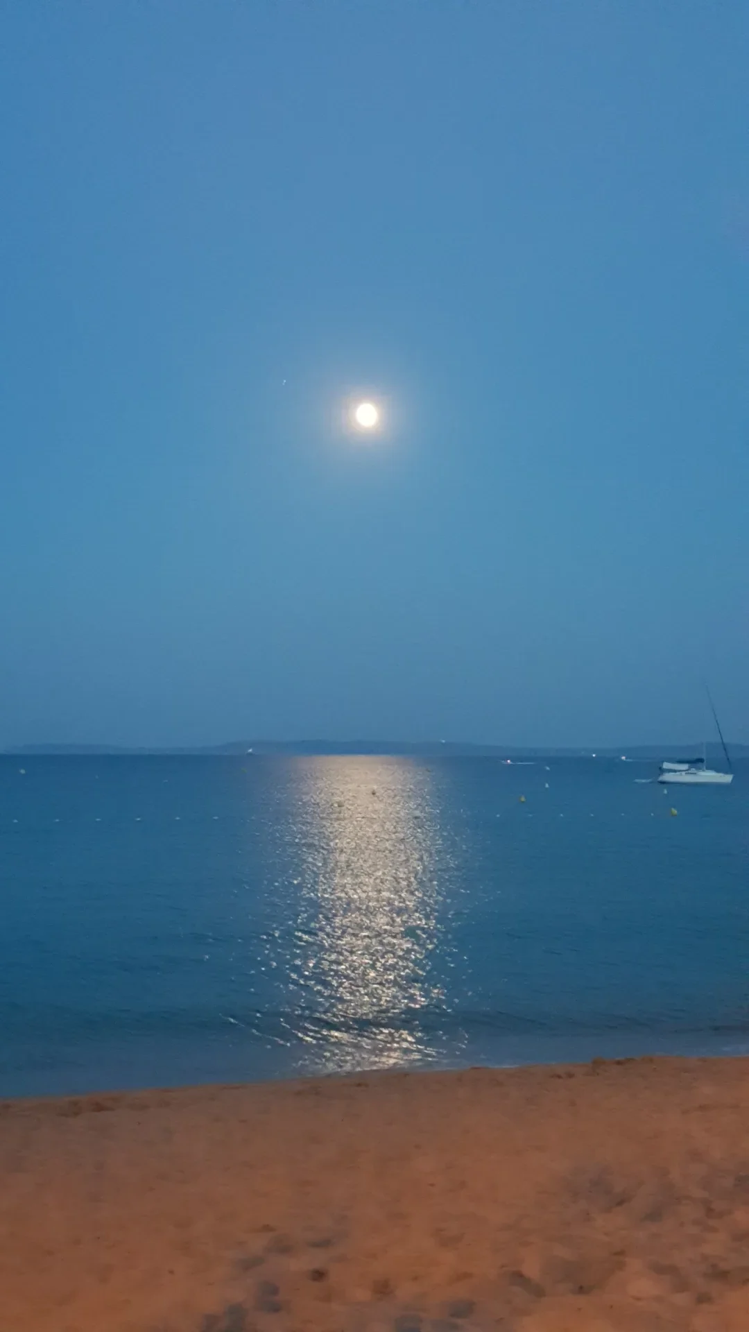 Cala la notte