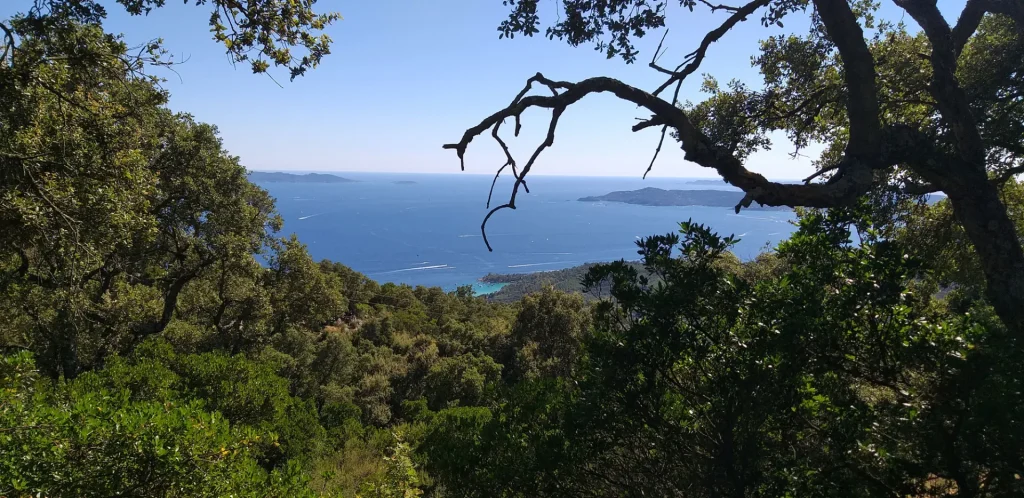 Grandangolo con vista sul mare