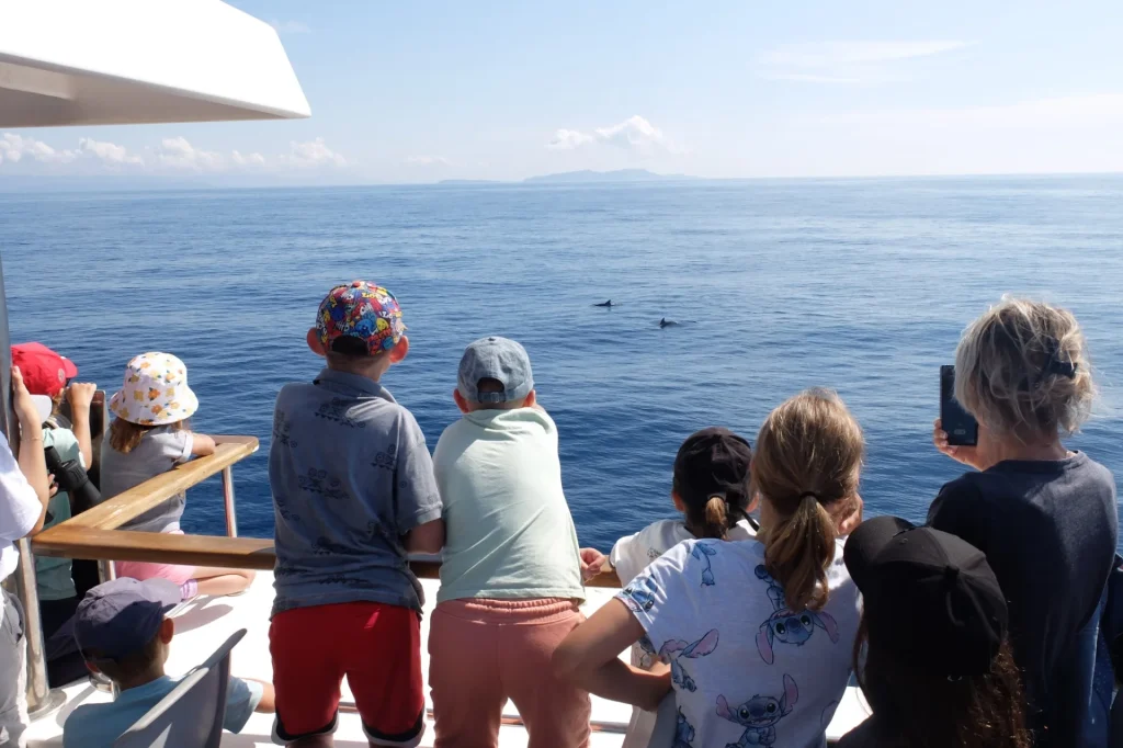 Encuentro con delfines Le Lavandou