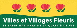 Logo City and Village in Flowers