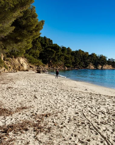 Plage en hiver Le Lavandou