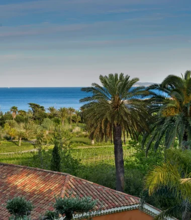 Finca vinícola Le Domaine de l'Anglade Le Lavandou