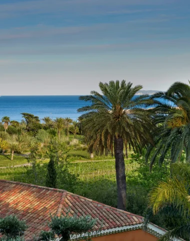 Azienda vinicola Le Domaine de l'Anglade Le Lavandou