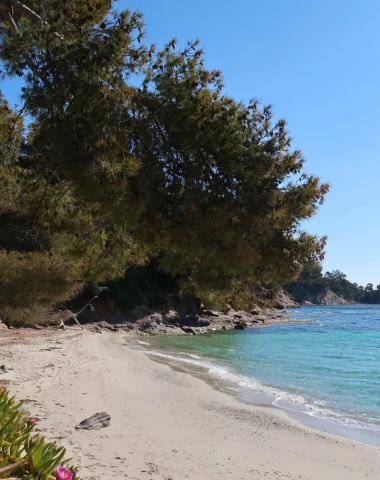 Spiaggia degli elefanti, Le Lavandou