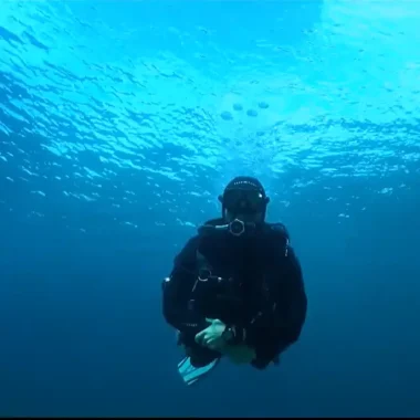 Plonger à l'année Le Lavandou