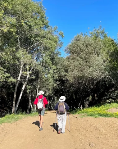 Horse riding Le Lavandou